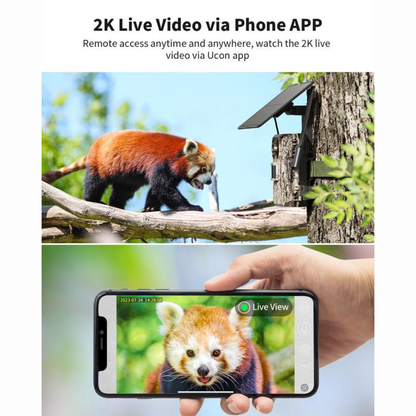 4G LTE Solar Game Camera – 2K Live Video
