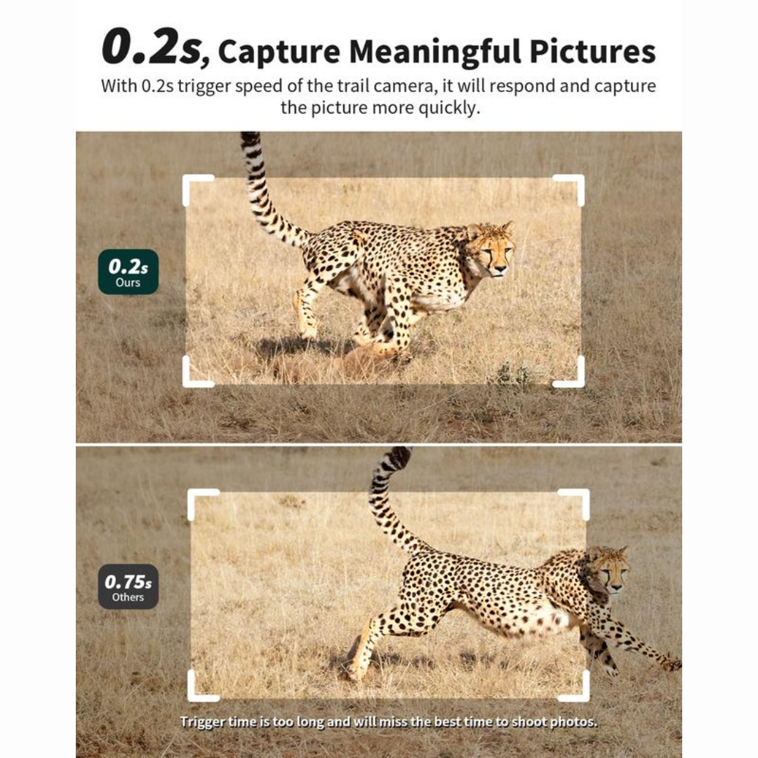 4G LTE Solar Game Camera – 2K Live Video