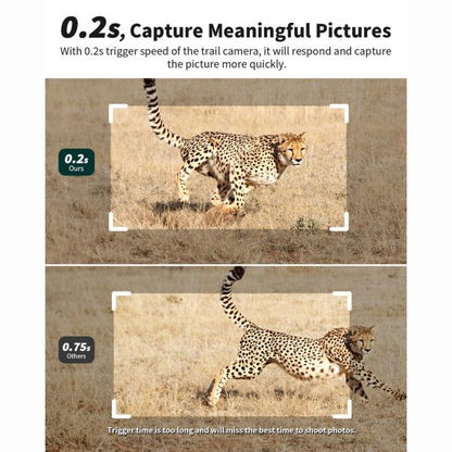 4G LTE Solar Game Camera – 2K Live Video