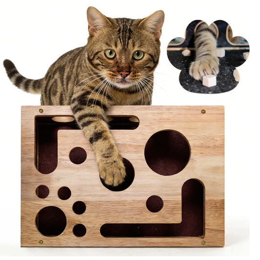 Cat Scratch Puzzle Enrichment Box Nail File Stress Free